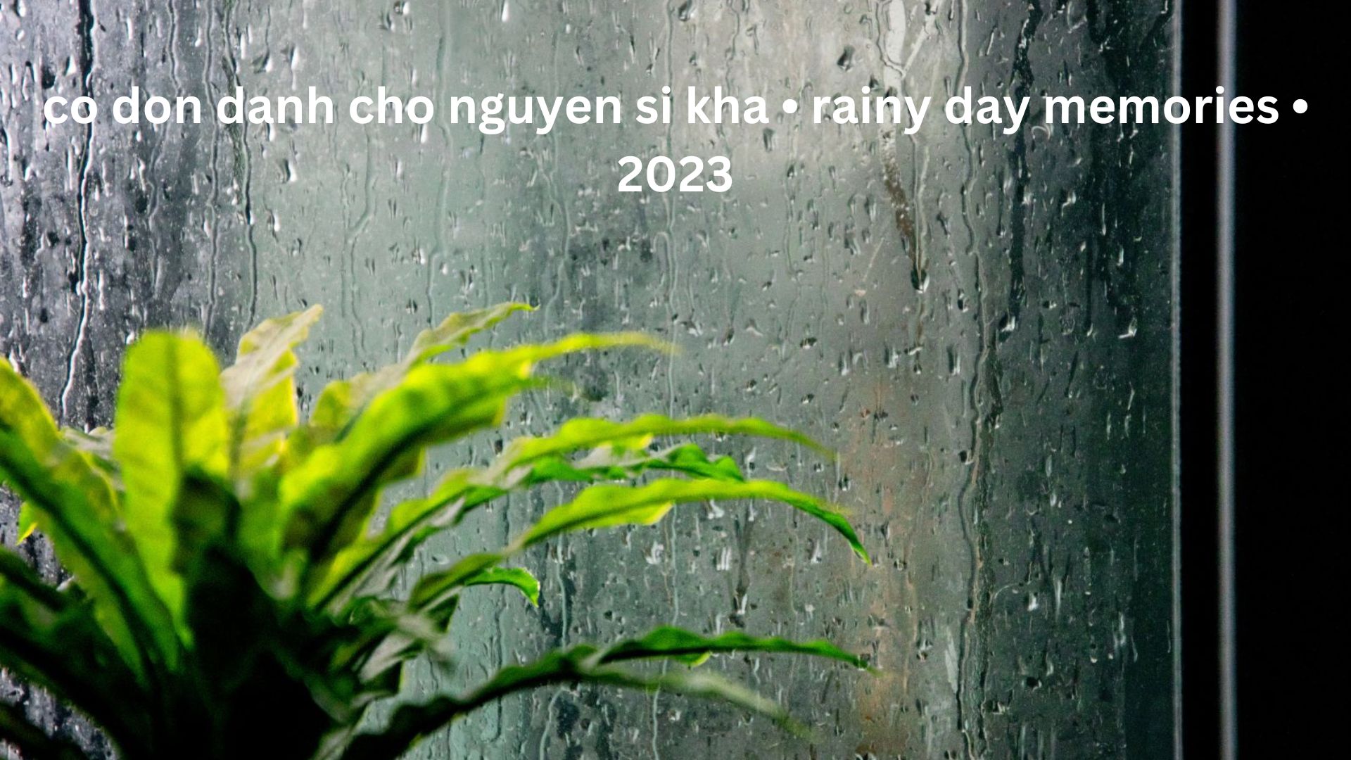 Co Don Danh Cho Nguyen Si Kha • Rainy Day Memories • 2023